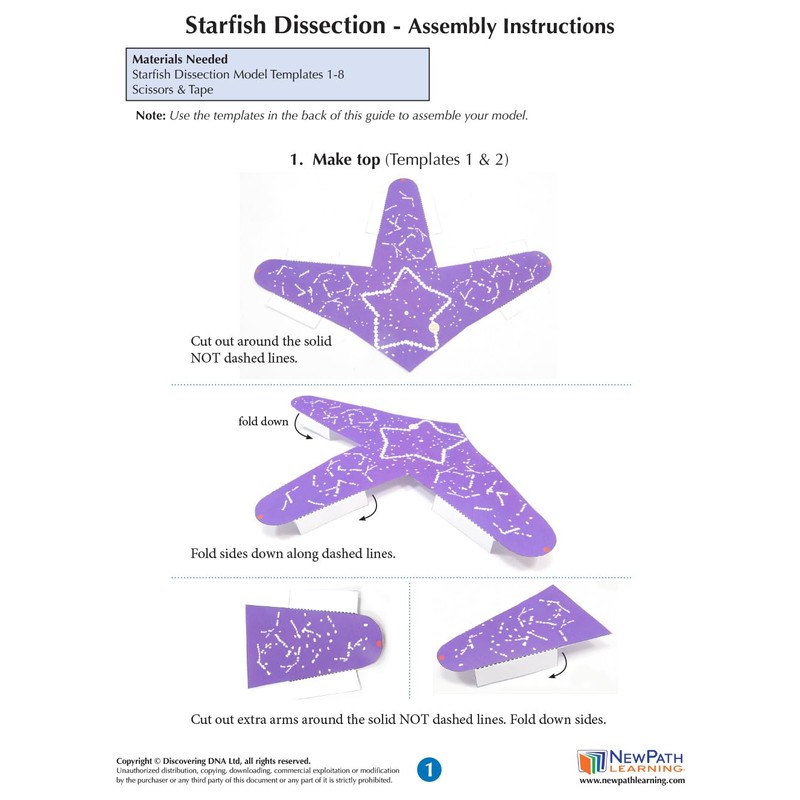 NewPath Starfish Dissection 3-D Paper Model Making Kit - Individual