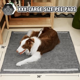 IMMCUTE Extra Large 36"X36" Charcoal Training Pads for Dogs, 30 Count, Activated Carbon Odor Control, XL Pads with Adhesive Strip