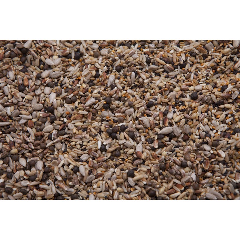 Top Form & Performance Pigeon Treat (18%) 8 lbsF