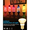SerBion Lava Lamp Bulb, R39 E17 Reflector Type Bulb for