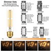 LiteHistory Dimmable E26 Edison Bulb 6W Equal 60 watt Light