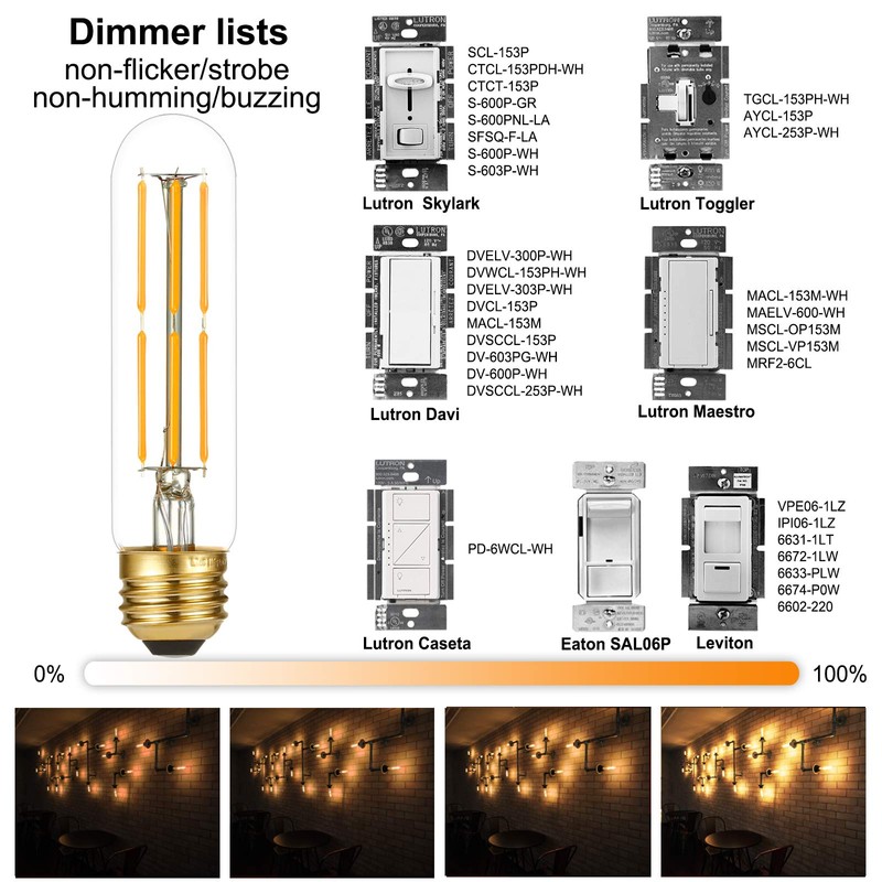 LiteHistory Dimmable E26 Edison Bulb 6W Equal 60 watt Light