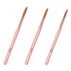 3-Piece Acrylic Nail Brush Set, Precision Tips for Smooth Acrylic