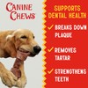 Canine Chews 8-9" XL Extra Large Rawhide Bone for Large
