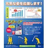 Japan Gals SC Easy Support Supplement Glucosamine + Chondroitin, 8.5