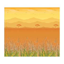 Fun Express African Safari Backdrop, 30 feet. x 8 feet - Photobooth, VBS and Party Decor - VBS Vacation Bible School Supplies/Decor - 3 Pieces