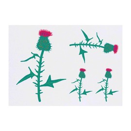 Azeeda 4 x 'Distel' Temporäre Tattoos - Wasserfest, Hautfreundlich & Ungiftig · Transfers in Verschiedenen Größen (TO00062096)
