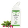 EARTHWISE Toilet Cleaner Pine & Tea Tree 500ml