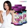 Holidays Milk Thistle 90 tablets, 4 bottles (12 months supply)