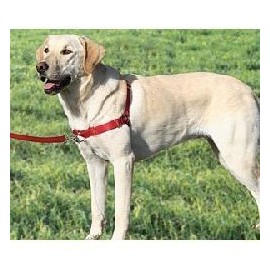 PREMIER Easy Walk Dog Harness SMALL/MED RED