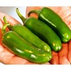 SeedsUP - 30+ Seeds Jalapeno Chili Pepper - Vegetable Green