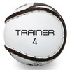 Murphy's Hurling Sliotar Ball, White, 4/Trainer