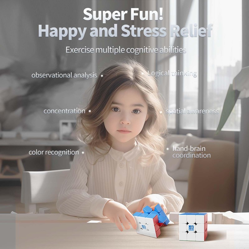 Moyu Meilong 2x2 3x3 4x4 5x5 Educational Cube Set Stickerless