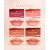 SELVE Melting Film Lip (Lipstick) (04 Orange Brick, 3.8g)