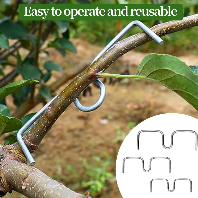 ZHAO GE Pack of 33 Branch Supports for Fruit Trees,