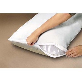 Mattress Safe Encasements (Pillow)