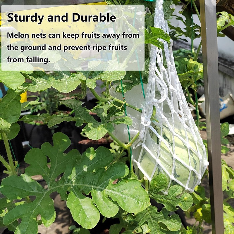 Belit 10 Pack Melon Hammock net Bag to Prevent Falling,Perfect