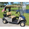 Forever Wave Golf Cart Sleeve Mount