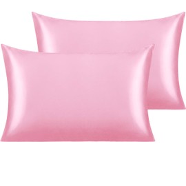 NTBAY 2 Pack Satin Queen Pillowcases for Hair and Skin, Luxurious and Silky Pillow Cases with Envelope Closure, 20x30 Inches, Pink