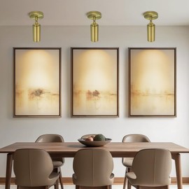 Brass Ceiling Spotlight, Hardwired LED Spot Lights, Flush Mounted Directional Indoor Spotlight Fixtures, Adjustable Monopoint Spot Lights for Living Room & Dining Room