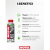 Motul - Additivo per Migliorare il Numero di Ottano e