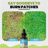 Dog Urine Neutraliser Liquid | Effective against Urine Odor and