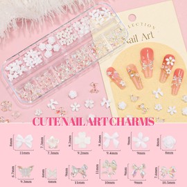 3 Boxes 3D Flower Nail Charms and Gems - Colorful Nail Flower & Aurora Bow Charms Metal Butterfly Clear Rhinestones Gemstones Silver/Gold Caviar Beads White Pearls with Nail Chain (12-S3-Mixed1)