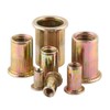 Carbon Steel Flat Metric Threaded Rivet Nut Flange Rivnut Nutsert