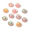 LiQunSweet 30Pcs Colorful Shell Charm, Opaque Resin Cabochons, No Hole,