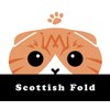 Flickering Cat Sticker Scottish Fold Red Tabby & White MK-2