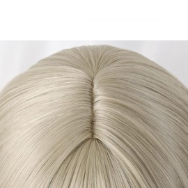 SUNXXCOS Natsume's Book of Friends Cosplay Wig, Heat Resistant Wig, Costume Accessory (Takashi Natsume)