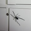 Realistic Simulation Spider Sticker for Fridge Decor Realistic Simulation Spider