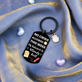 Employee Appreciation Gifts Funny Office Gift for Coworker Leader Boss Appreciation Gifts for Women Manager Supervisor Leader Administrator Coworker Employees Funny Sarcastic Gift Keychain