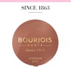 Bourjois Little Round Pot Blusher Chataigne Doree