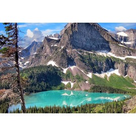 PigBangbang,Handmade Intellectiv Games Photomosaic Jigsaw Puzzle Box Basswood 29.5 X 19.6''Colorful Cartoon 1000 Piece Mural Home Decoration-Glacier National Park