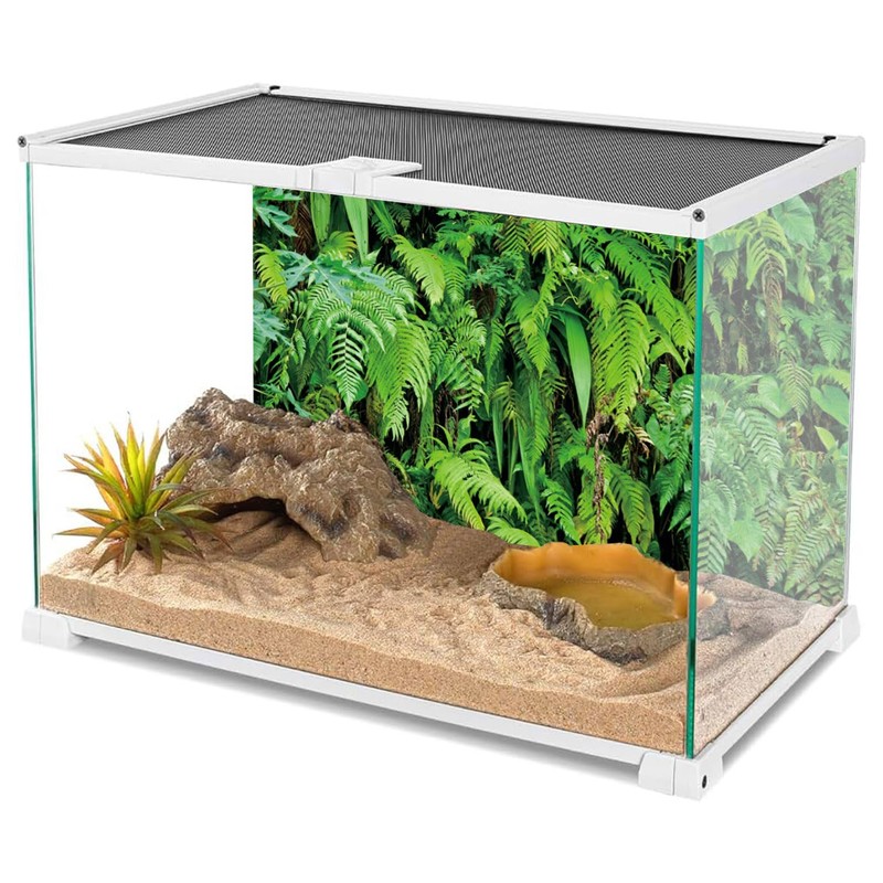AWERT 60x24 inches Tropical Terrarium Background Tropical Plants Leaves Aquarium