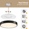 Lightania 11 Inch Flush Mount Ceiling Light with Remote Control