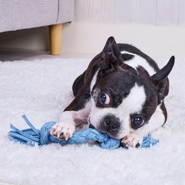 ADD. Mate Dog Toy, Denim Dental Rope, S
