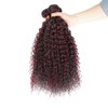 Luxvogue 14 16 18 inch Burgundy P1B/99J Jerry Curly Human