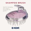 Kent Brushes Shampoo & Scalp Massage Brush - Ideal for