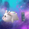 LED Starry Sky Projector, Northern Light Projector, Night Light, Starry