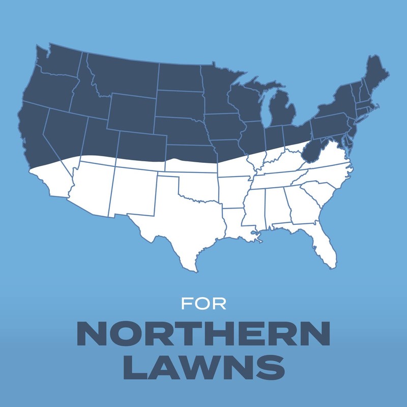 Scotts Turf Builder Grass Seed Kentucky Bluegrass Mix with Fertilizer