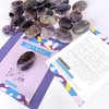 Amethyst Crystal Worry Stone Stress Relief Gift Birthday Anniversary Xmas