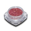 Hologram Glitter Powder Pink Holo Nail Art Nail Design Pack