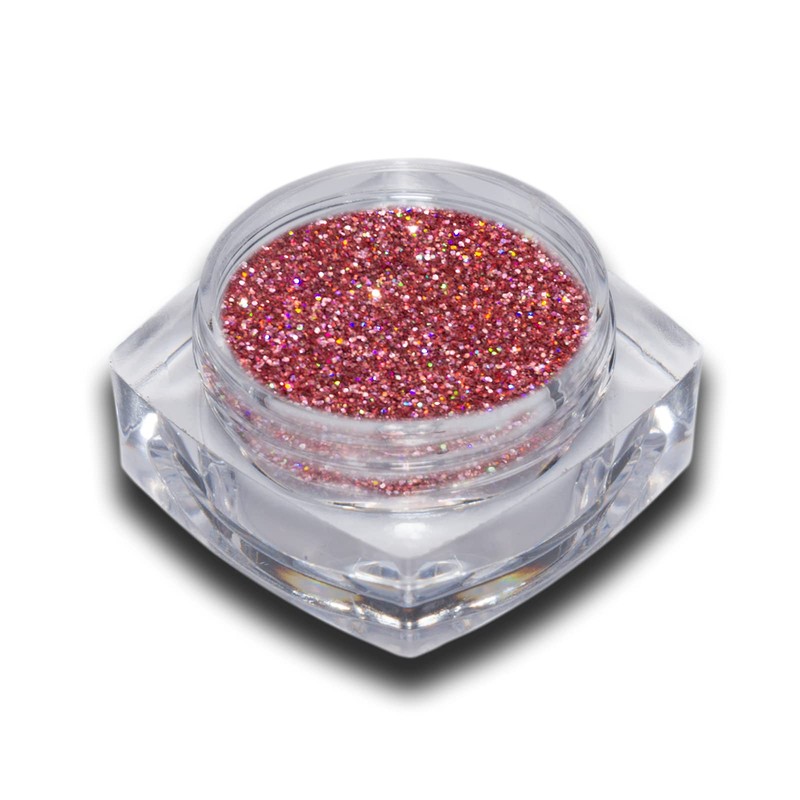 Hologram Glitter Powder Pink Holo Nail Art Nail Design Pack