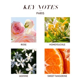 JCLOUD JCLOUD Paris Essential Oil for Diffuser - Hotel Diffuser Oil & Home Luxury Scents - Pure Aromatherapy Diffuser Oil with Rose, Jasmine and Honeysuckle, Natural & Pet Safe - 100mL