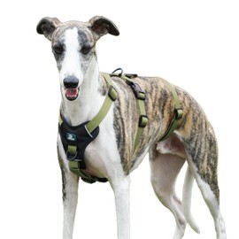 PAWORLD Dog Safety Harness, Anti-Pull Dog Harness, Panic Harness for Dogs, Escape Proof Harness, Adjustable, Breathable Vest for Small, Medium and Large Dogs (Green, S)