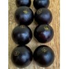 9waters Jaboticaba Plinia Coronata Jabuticaba Fruit Tree tropical Plant VERY