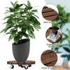 Yangbaga 2pack Plant Caddy 12’’Wood Duty Rolling Plant Stand with