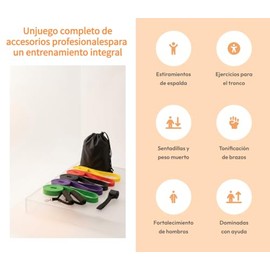 Bandas de Resistencia para Ejercicio, Juego de 5 Bandas con Asas | Amplia gama de niveles de resistencia, Material TPE seguro, Fácil de guardar